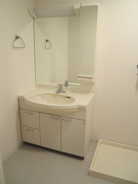 Washroom. Bathroom vanity