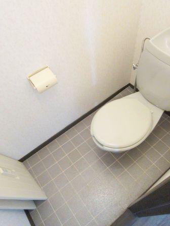 Toilet. Bright, a clean space