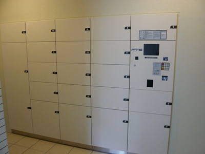 Other. There is also a convenient home delivery locker receive luggage during absence!