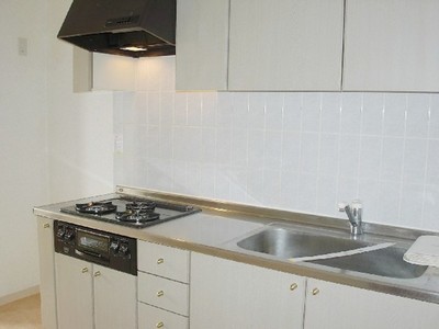 Kitchen. Typical indoor photo. Convenient stand-alone kitchen hide even when the visitor