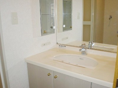 Washroom. Typical indoor photo. There is a wash basin storage is also useful, such as accessories