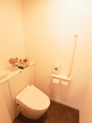Toilet. There is also a handrail in the toilet of the calm atmosphere