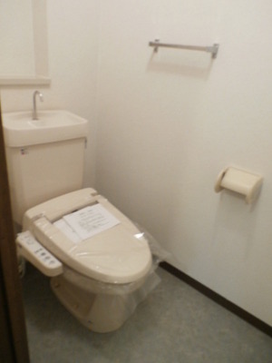 Toilet. It is with cleaning warm toilet seat (equipment). 