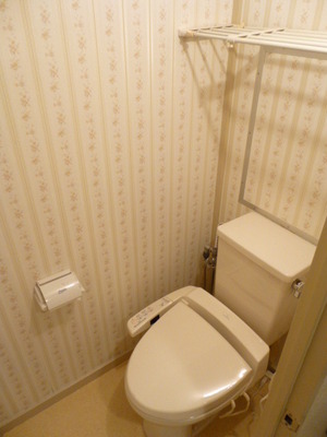 Toilet. It is a toilet with a wash warm function.