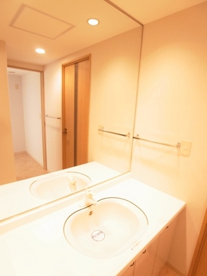 Washroom. There is easy to separate washroom of dressing in a large mirror