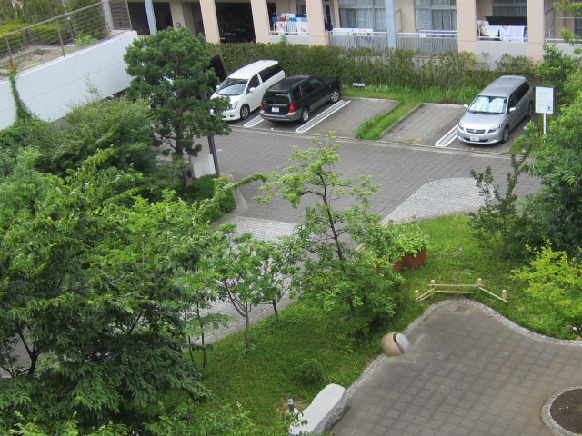 Garden. courtyard