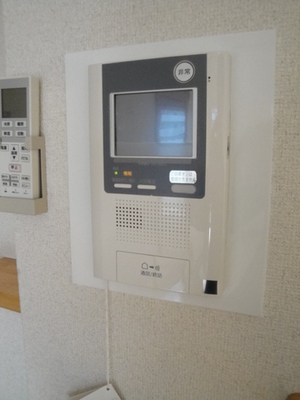 Security. Intercom with a monitor that takes into account the security surface