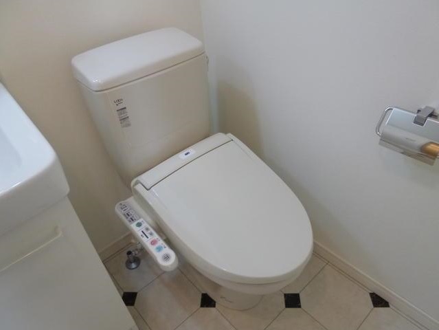 Toilet. Warm water washing toilet seat