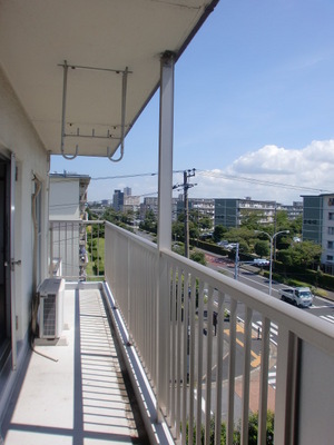 Other. Sunshine is a good balcony. 