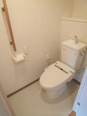 Toilet. Typical indoor photo. Clean, great toilet with a washing toilet seat