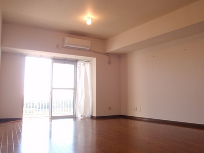 Living and room. Typical indoor photo. Cleaning of easy all flooring