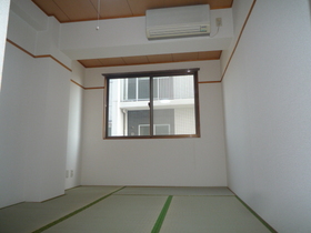 Living and room. You will be purring with tatami