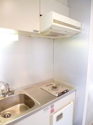 Kitchen. Refrigerator was also housed the kitchen, Also is enough cutting board space. 