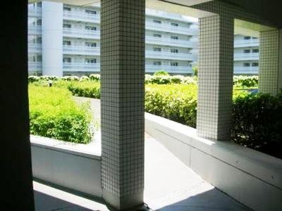 Entrance. Representative common areas photo. View of the courtyard from the corridor