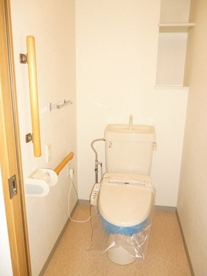 Toilet. Wash warm toilet seat is (equipment treatment) with a toilet.