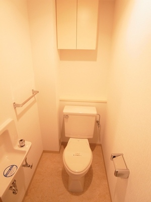 Toilet. Convenient hanging cupboard and toilet with hand-washing facilities in the housing.