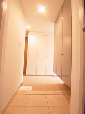 Entrance. Convenient to clean up, Storage facility of the large entrance hall.