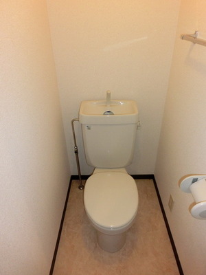 Toilet. Toilet