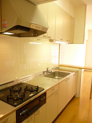 Kitchen. Sink of the washing also becomes easy to spread. Three-necked gas stove kitchen.
