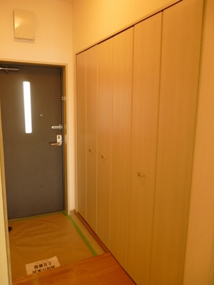 Entrance. There is a shoe box with a height to the front door, Looks and clean