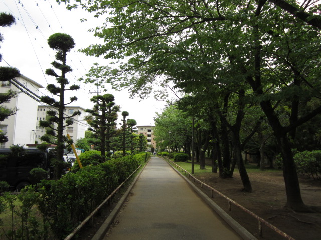 Other. Promenade in the park.