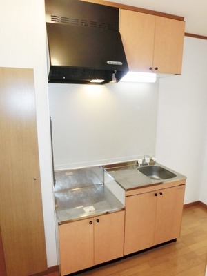 Kitchen. Two-burner gas stove can be installed