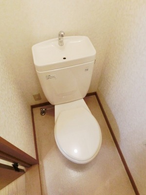 Toilet. Toilet