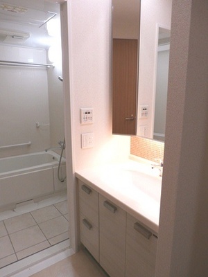 Washroom. Vanity with medicine BOX