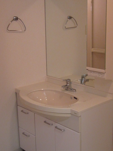 Washroom. Bathroom vanity