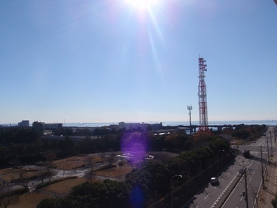 View. The view from the room is also a good leafy quiet residential area