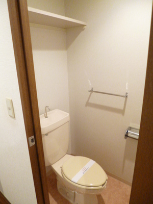 Toilet. There is a convenient useful storage space in the toilet