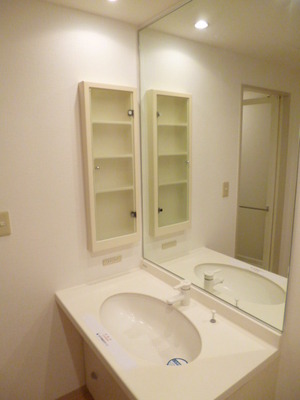 Washroom. Separate vanity storage space with plenty