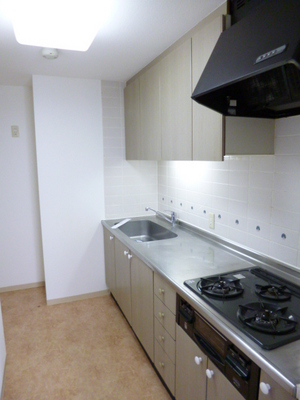 Kitchen. The kitchen is convenient at the time of a sudden visitor also hide as soon as independent type