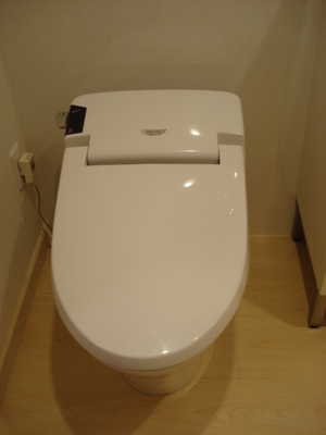 Toilet. Toilet with warm water washing toilet seat