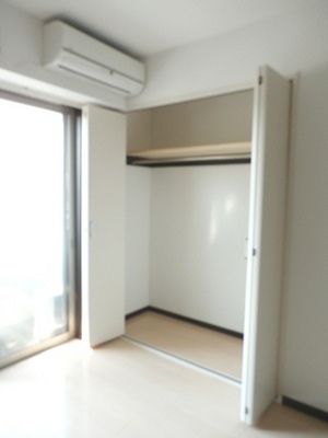 Living and room. A height and depth closet is recommended