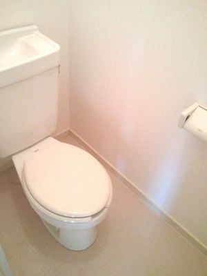 Toilet. Toilet with cleanliness