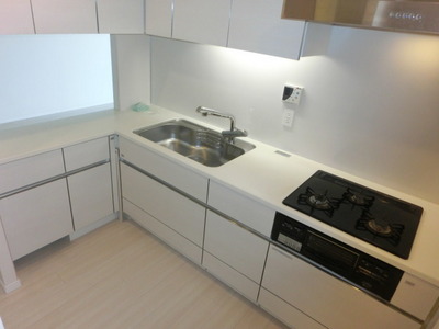 Kitchen. Spacious kitchen system