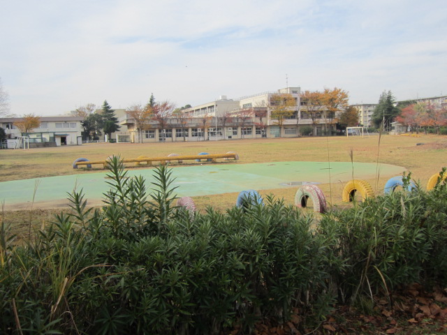 Other. Elementary school in the park.