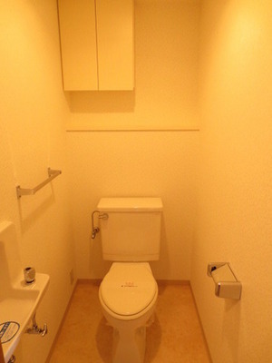 Toilet. Because in the toilet there is also a hand-washing facilities, Ease of use is good