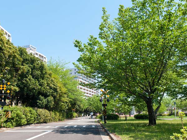 Surrounding environment. Hanamigawa traffic park (about 240m / A 3-minute walk)