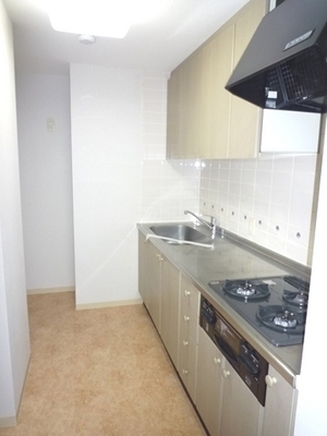 Kitchen. Typical indoor photo. When steep visitor also hide as soon as stand-alone kitchen.