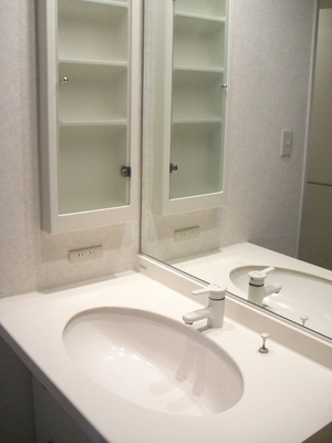 Washroom. Typical photo. Storage is also useful in many dressing separate vanity