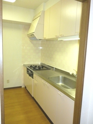 Kitchen. Convenient independent type of system kitchen to cooking is recommended. Receipt