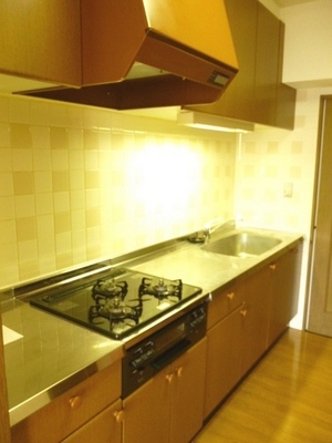 Kitchen. Typical photo. Convenient 3 lot gas stoves have the kitchen make anything goods