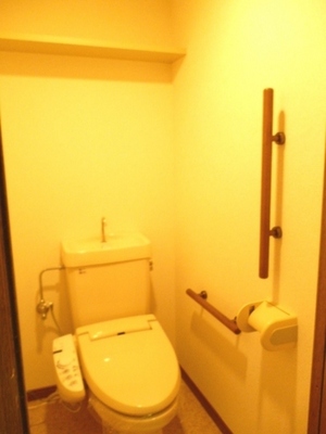 Toilet. Typical indoor photo. It is convenient because there is storage space in the toilet