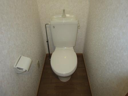 Toilet. It is a beautiful space with a cleanliness