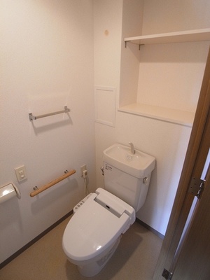 Toilet. There is convenient useful storage space in the toilet.