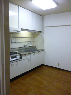 Kitchen. Installation large cupboard also a breeze in the bright and spacious kitchen space