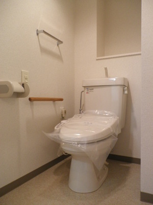 Toilet. Typical indoor photo. Cleanliness overflowing toilet in a multi-function toilet seat