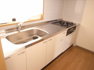 Kitchen. Typical indoor photo. Involuntarily conversation lively counter kitchen